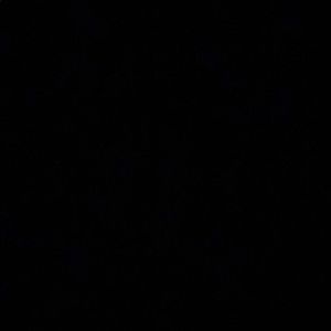 Meet your Posher, Darryl